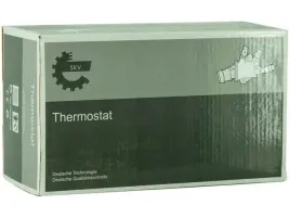 termostat-20skv057-esen-skv