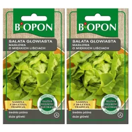 biopon-nasiona-salata-glowiasta-maslowa-srednio-pozna-miekkie-liscie-1gx2