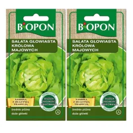 biopon-nasiona-salata-glowiasta-krolowa-majowych-duza-glowka-1gx2-szt