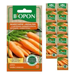 biopon-nasiona-marchew-jadalna-wysoka-zawartosc-witamin-4g-x10