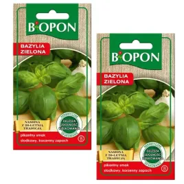biopon-nasiona-bazylia-zielona-slodkawy-korzenny-zapach-pikantny-smak