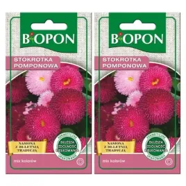 biopon-nasiona-stokrotka-pomponowa-wielokolorowa-nasiona-kwiatow-x2