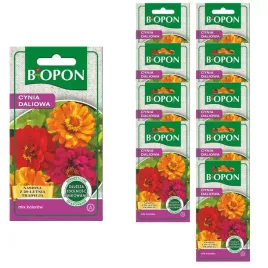 biopon-nasiona-cynia-daliowa-wielokolorowa-nasiona-kwiatow-1g-x2