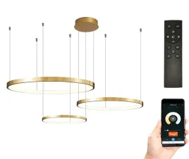 lampa-wiszaca-40-60-80-zlota-okregi-ring-73w-pilot