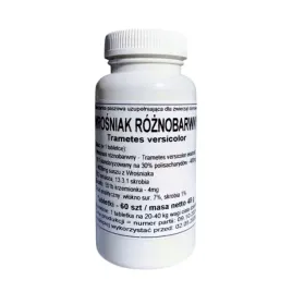 podkowa-a-d-wrosniak-roznobarwny-coriolus-grzyby-odpornosc-60-tabletek