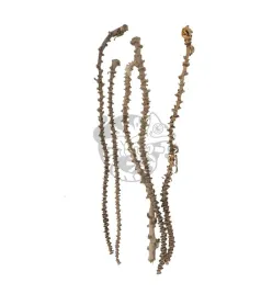 naturalna-liana-bananowca-35-50-cm