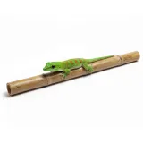 tyczki-bambusowe-30cm