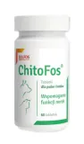 dolfos-chitofos-60-tabletek-dolfos-cechy-dodatkowe-bez-fosforu