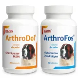 dolfos-arthrofos-90-tabletek-dolfos-rodzaj-zestawy-witamin