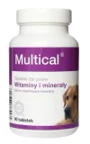 dolvit-multical-bigdog-90tab-dolfos-postac-tabletki