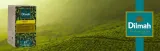 herbata-dilmah-green-tea-25-dilmah-stan-nowy