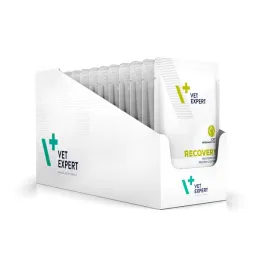 vet-expert-recovery-cat-saszetka-12x100g-karma-weterynaryjna-dla-kotow