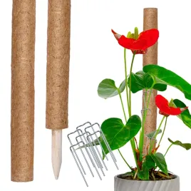 podpora-kokosowa-60-cm-palik-45-do-roslin-tyczka-palka-z-wlokna-kokosowego