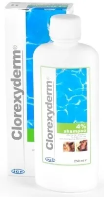 GEULINCX CLOREXYDERM SZAMPON 4% 250 ML