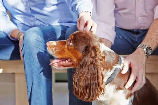 ceva-adaptil-zestaw-48ml-marka-adaptil