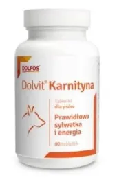 dolfos-dolvit-karnityna-90-tabletek-krotka-data-02-2026