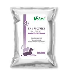 vetfood-bbandrecovery-balance-20g