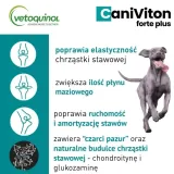 vetoquinol-caniviton-forte-plus-90-tabletek-marka-vetoquinol