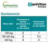 vetoquinol-caniviton-forte-plus-90-tabletek-wiek-zwierzecia-dla-wszystkich-psow