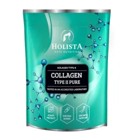 holista-collagen-type-ii-pure-600g