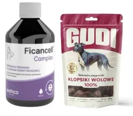 biovico-ficancell-complex-wsparcie-przy-nowotworze-500ml-przysmak-gudi