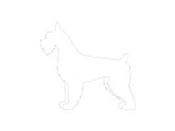 amiplay-smycz-samba-m-czarny-marka-amiplay