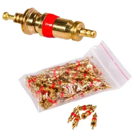 wklad-zaworu-detki-wentyla-zaworek-krotki-100-szt