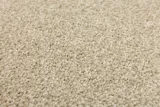 dywan-bezowy-gruby-gladki-mieciutki-na-filcu-do-pokoju-key-west-300x400-cm-kod-produktu-w-key-west-72-kolor-bezowy-grubosc-11-mm
