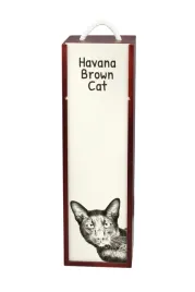 hawana-brazowa-pudelko-na-wino-z-kotem-pudelko-na-alkohol-z-grafika-per