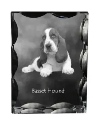 basset-hound-krysztal-ze-zdjeciem-psa-szklana-statuetka-ze-zdjeciem-wyj
