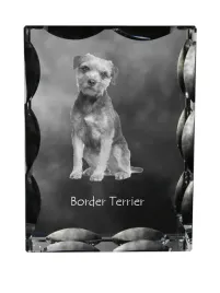 border-terrier-krysztal-ze-zdjeciem-psa-szklana-statuetka-ze-zdjeciem-w