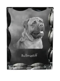 bullmastiff-bulmastif-krysztal-ze-zdjeciem-psa-szklana-statuetka-ze-zdj