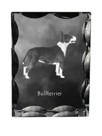 bulterier-bull-terrier-krysztal-ze-zdjeciem-psa-szklana-statuetka-ze-zd