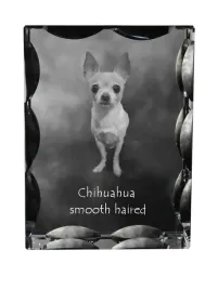 chihuahua-dlugowlosy-krysztal-ze-zdjeciem-psa-szklana-statuetka-ze-zdjec