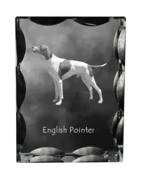 pointer-krysztal-ze-zdjeciem-psa-szklana-statuetka-ze-zdjeciem-wyjatkow