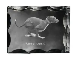 greyhound-chart-angielski-krysztal-ze-zdjeciem-psa-szklana-statuetka-ze