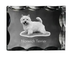 norwich-terrier-krysztal-ze-zdjeciem-psa-szklana-statuetka-ze-zdjeciem