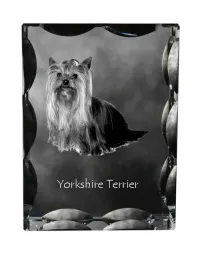 yorkshire-terrier-york-jork-yorkie-krysztal-ze-zdjeciem-psa-szklana-s
