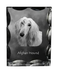 chart-afganski-krysztal-ze-zdjeciem-psa-szklana-statuetka-ze-zdjeciem-w