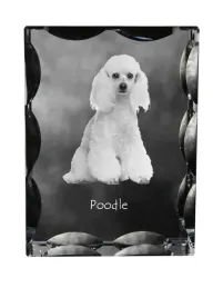 pudel-krysztal-ze-zdjeciem-psa-szklana-statuetka-ze-zdjeciem-wyjatkowa