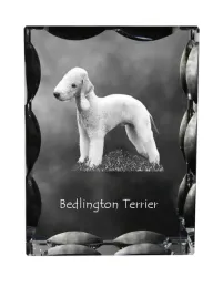 bedlington-terrier-rothbury-terrier-krysztal-ze-zdjeciem-psa-szklana-st