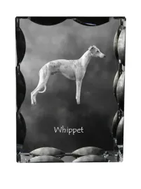whippet-chart-angielski-krysztal-ze-zdjeciem-psa-szklana-statuetka-ze-z