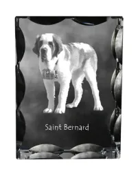 bernardyn-pies-sw-bernarda-krysztal-ze-zdjeciem-psa-szklana-statuetka