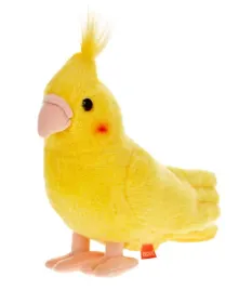 papuga-zolta-nimfa-20-cm-beppe