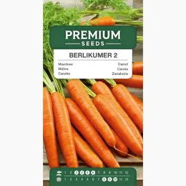 marchew-berlikumer-2-do-gruntu-do-tuneli-warzywa-ogrod-premium-seeds-5-g