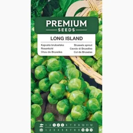 nasiona-kapusta-brukselska-long-island-wczesna-odmiana-premium-seeds-1-g