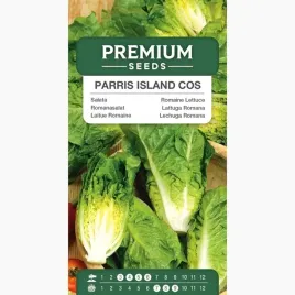 nasiona-salata-parris-island-cos-rzymska-warzywa-ogrod-premium-seeds-1-g