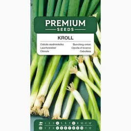 nasiona-cebula-siedmiolatka-kroll-szczypior-gruby-plony-premium-seeds-0-5-g