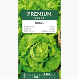 nasiona-salata-maslowa-humil-do-salatek-swieze-warzywa-premium-seeds-1-g