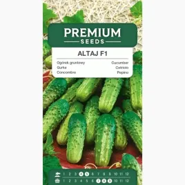 nasiona-ogorek-altaj-f1-do-uprawy-gruntowej-wczesny-plenny-premium-seeds-3g